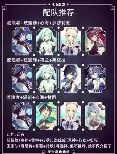 流浪公主搭配阵容插图