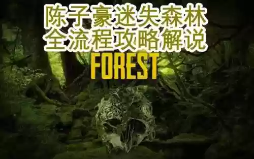 迷失森林攻略解说视频插图