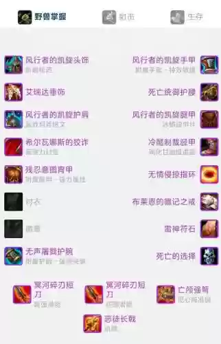 魔兽世界世界8.1猎人武器插图