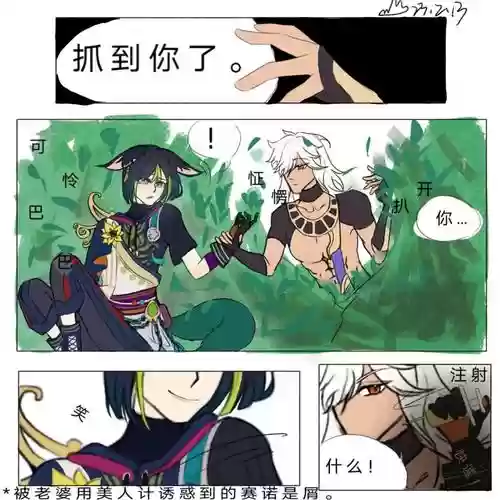 塞提阵容插图1