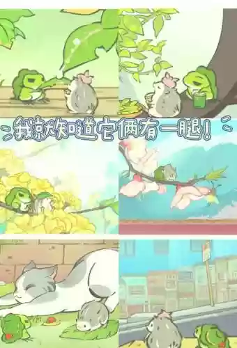 旅游青蛙高级攻略插图