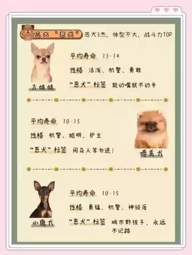 史诗恶犬攻略插图1