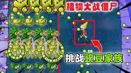 pvz豌豆阵容插图1