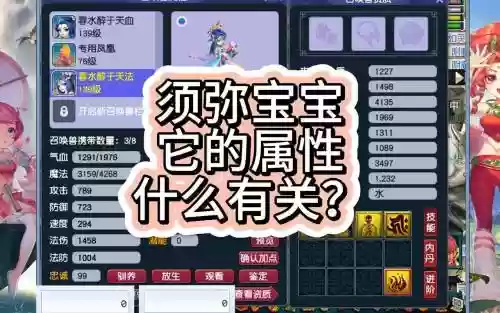 须弥宝宝打什么技能插图