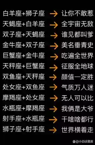 十二星座阵容插图