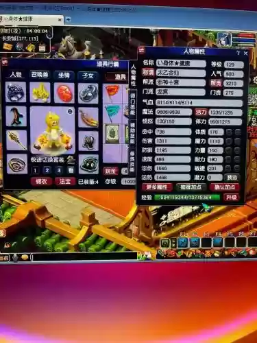 梦幻西游59龙宫秒伤插图