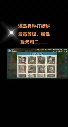 海岛奇兵38级攻略_1插图