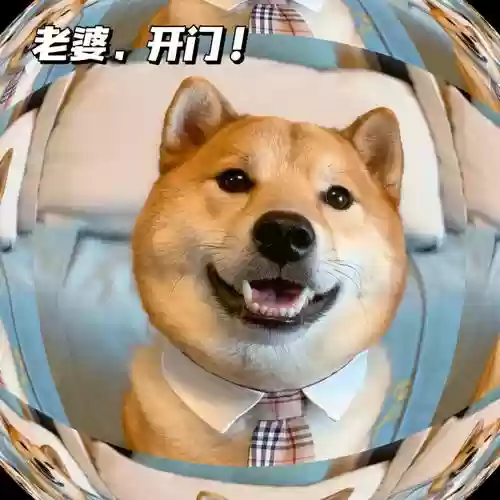 老婆快开门攻略插图