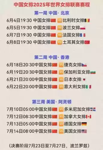 女排阵容问题