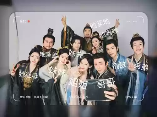词穷无视阵容插图
