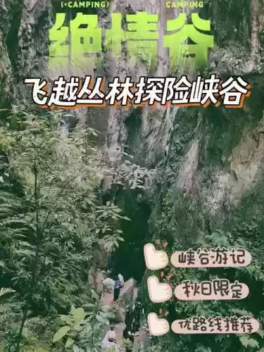 活动绝情谷攻略_1插图1
