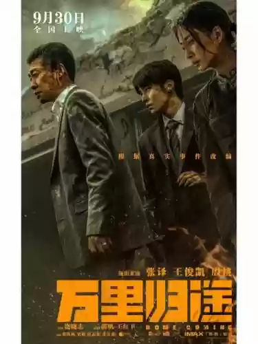 影视新阵容