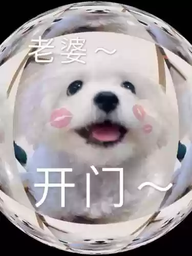 老婆快开门攻略插图1