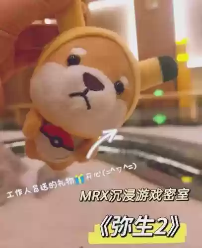 mrx密室room5攻略插图