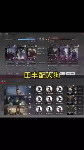 田丰阵容搭配推荐插图