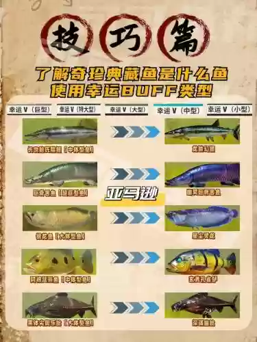 大鱼为重成就攻略图片_1插图1