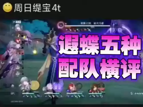 主蝶阵容搭配