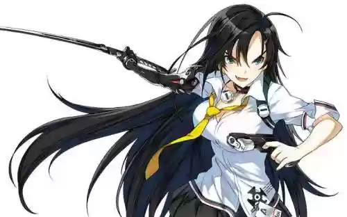 封印者伊莉娜武器外观插图