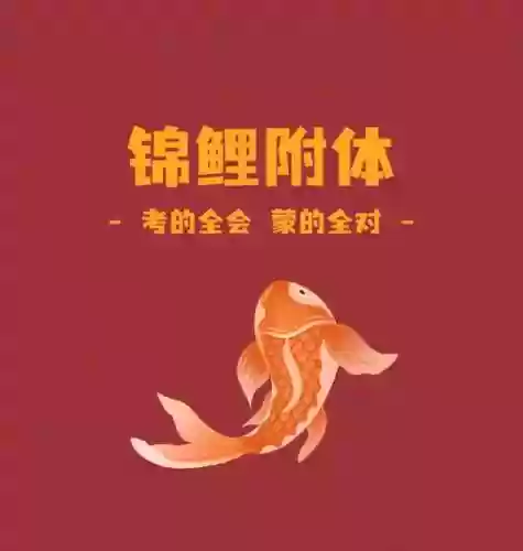 金莉阵容搭配插图