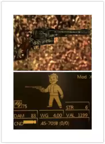 辐射新维加斯武器p