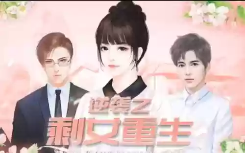 逆袭之剩女重生攻略容貌插图