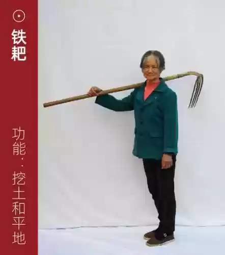 农具怎样搭配阵容插图
