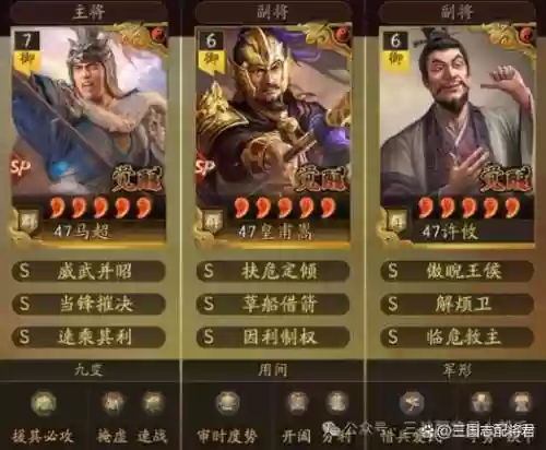 骑士盾阵容搭配