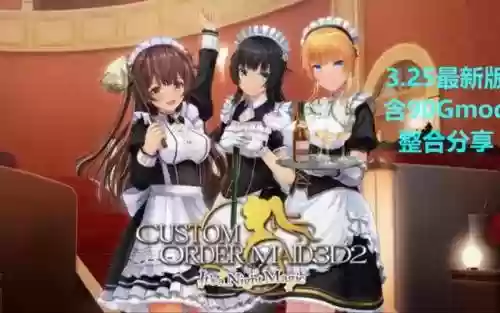 3d人工女仆2攻略_1