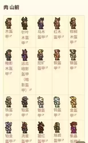 泰拉瑞亚最有趣的武器插图
