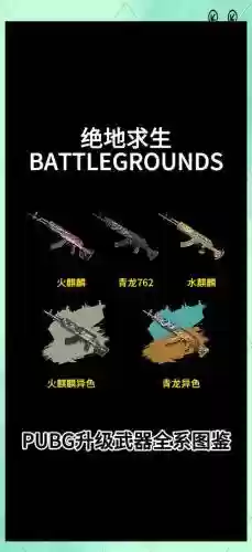 绝地求生武器源_1插图