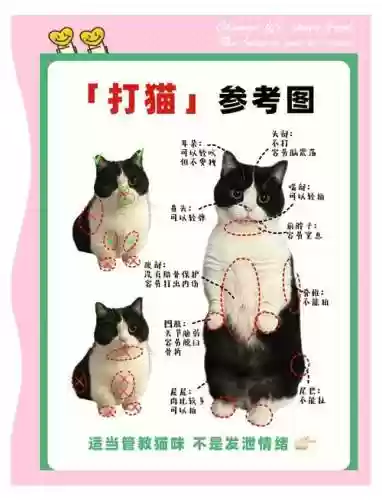 合猫猫攻略插图