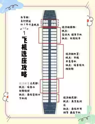 小飞机阵容搭配插图1