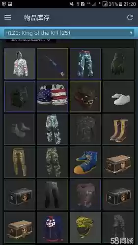 h1z1代理后装备_1