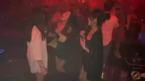 迈阿密酒吧阵容搭配插图