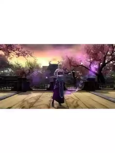 真三国无双ol级别7武器插图