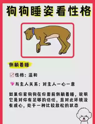 睡狗警察攻略插图