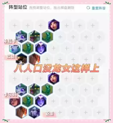豹子搭配阵容插图