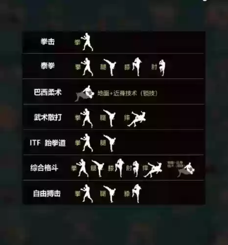 男格斗技能预览插图1