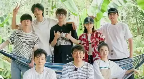 向往4人气阵容搭配，向往四子都跟谁了插图1