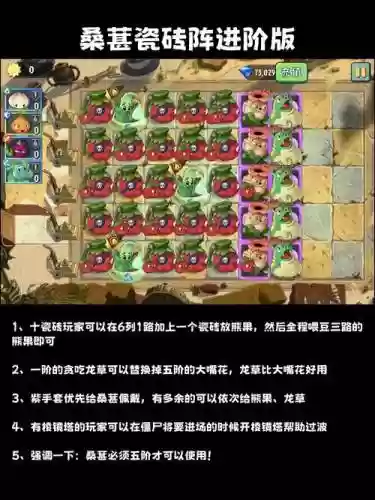 植物大战僵尸2无尽攻略图片，植物大战僵尸2无尽攻略图片大全插图
