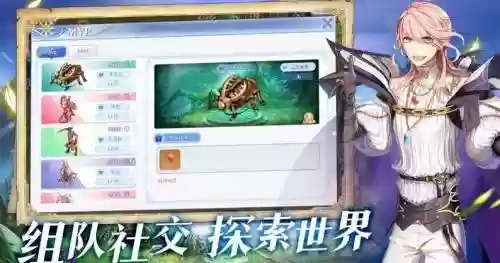 ro刺客人形怪装备，ro刺客技能加点图