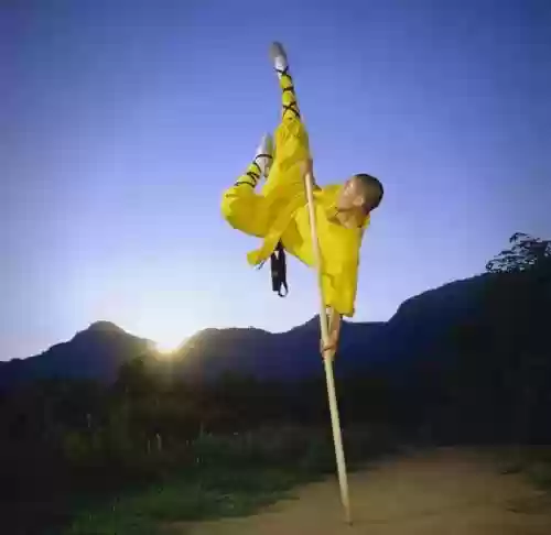 少林副武器是什么意思，少林的特效武器插图