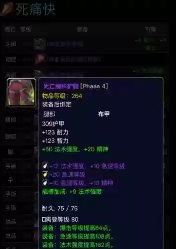 3.35奥法装备，335奥法饰品插图1