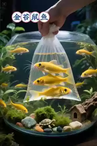 清道夫技能，清道夫怎么完成插图1