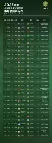 2019国安亚冠阵容搭配，2019年国安亚冠战绩