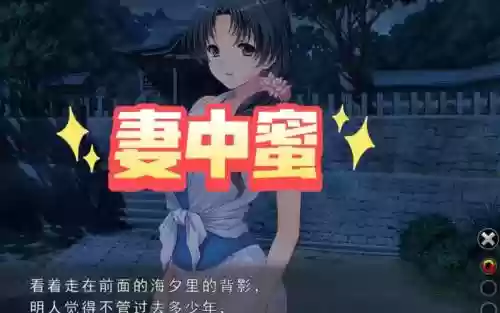 妻中蜜1日文攻略，妻中蜜3后宫结局怎么攻略插图