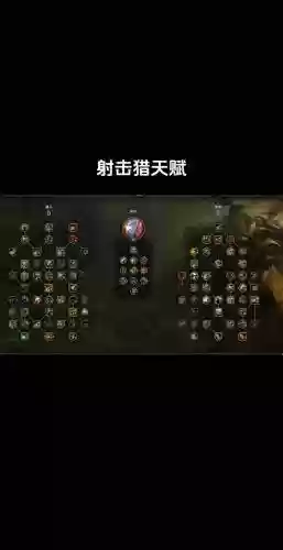 魔兽世界射击猎人技能，魔兽世界射击猎人的天赋和属性手法插图1