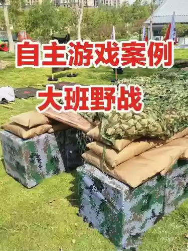 野战全攻略网站，野战游戏插图