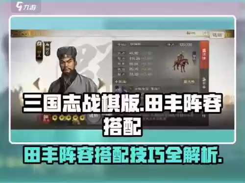 田丰搭配阵容，三国志田丰阵容插图