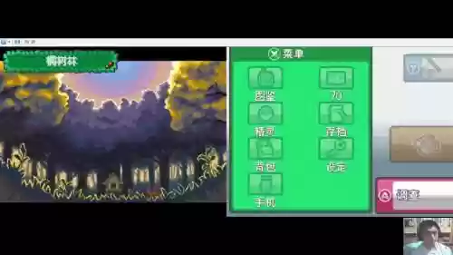 口袋魂银neo攻略，口袋妖怪魂银the one攻略插图
